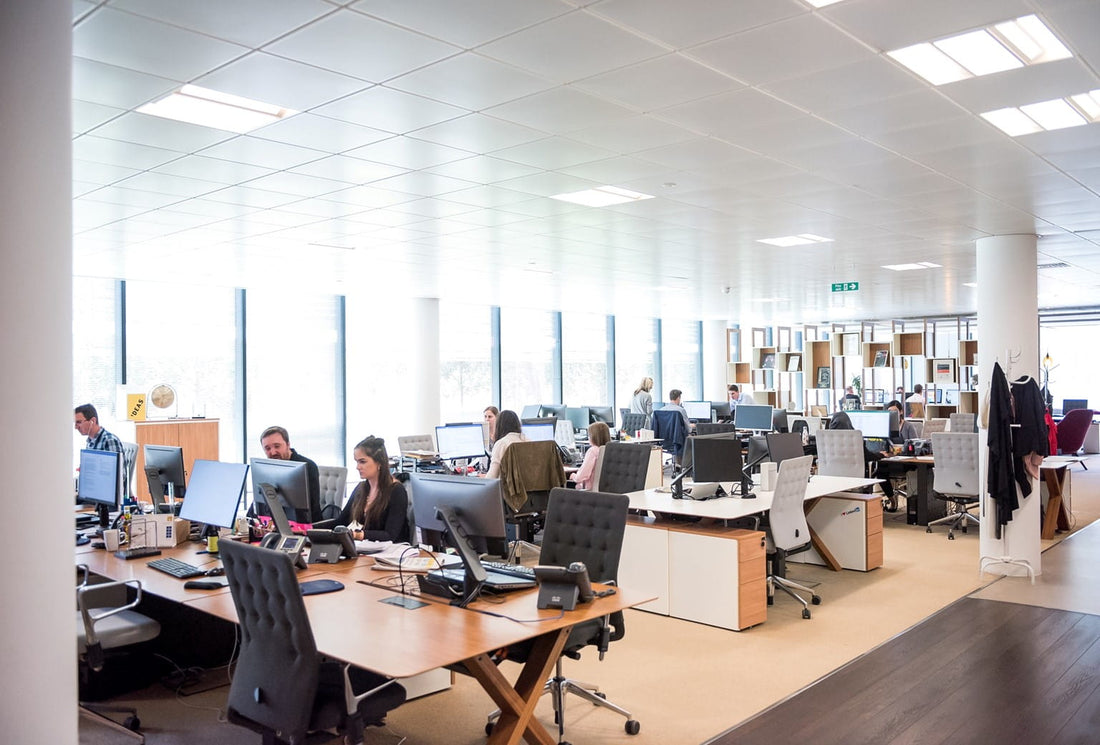 How an Office Lighting Supplier and Consultant Collaborated to Transform Acme Consulting's Workplace